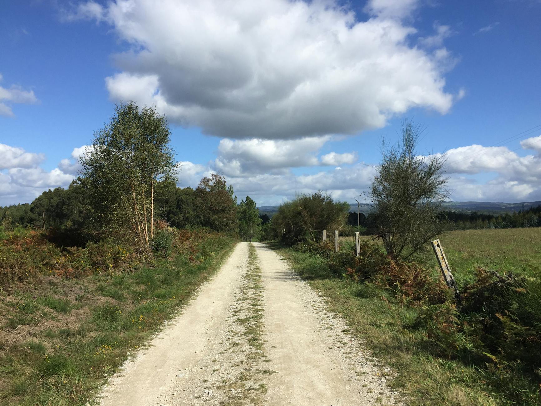 Greetings from Jordan's Wadi Rum desert, where patches of green emerge after winter rains