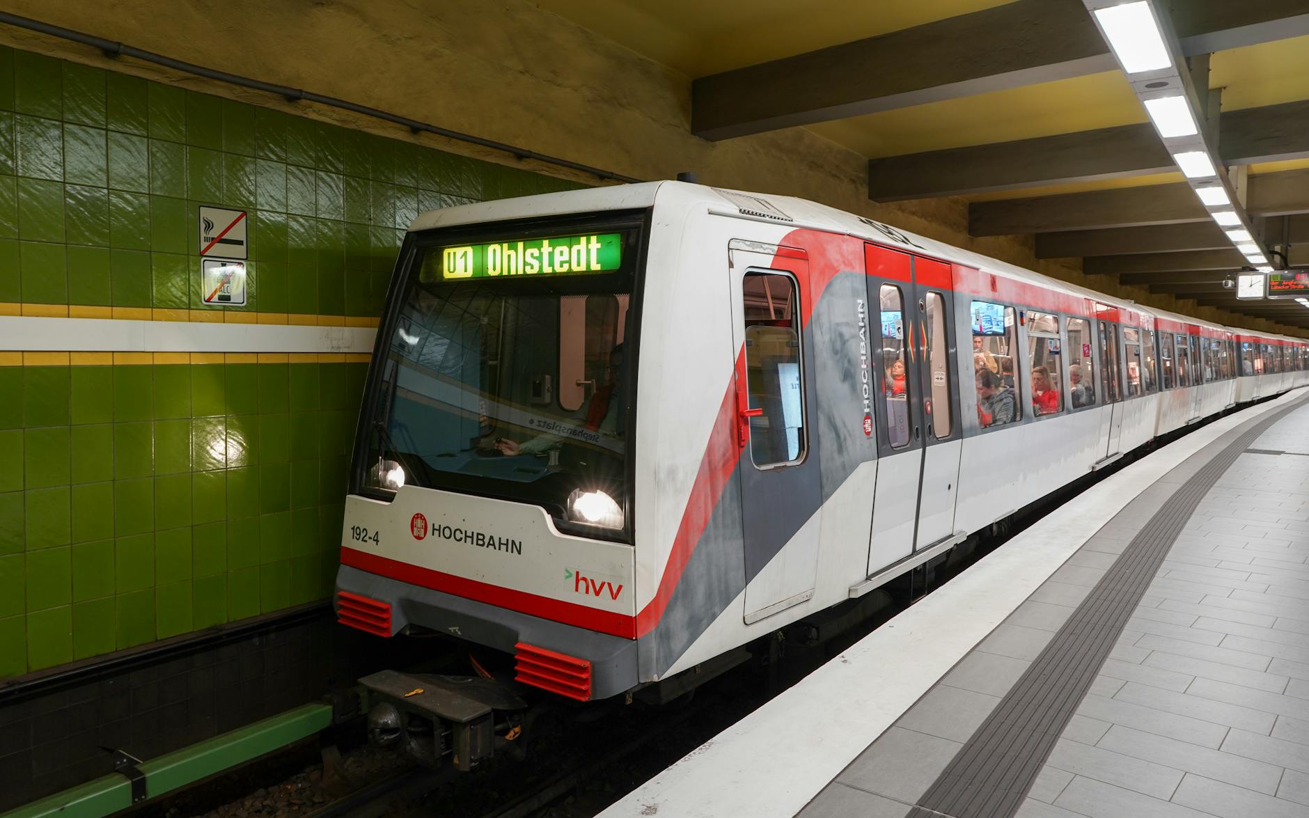 Winter Rains Bring Green to Jordan’s Wadi Rum Desert