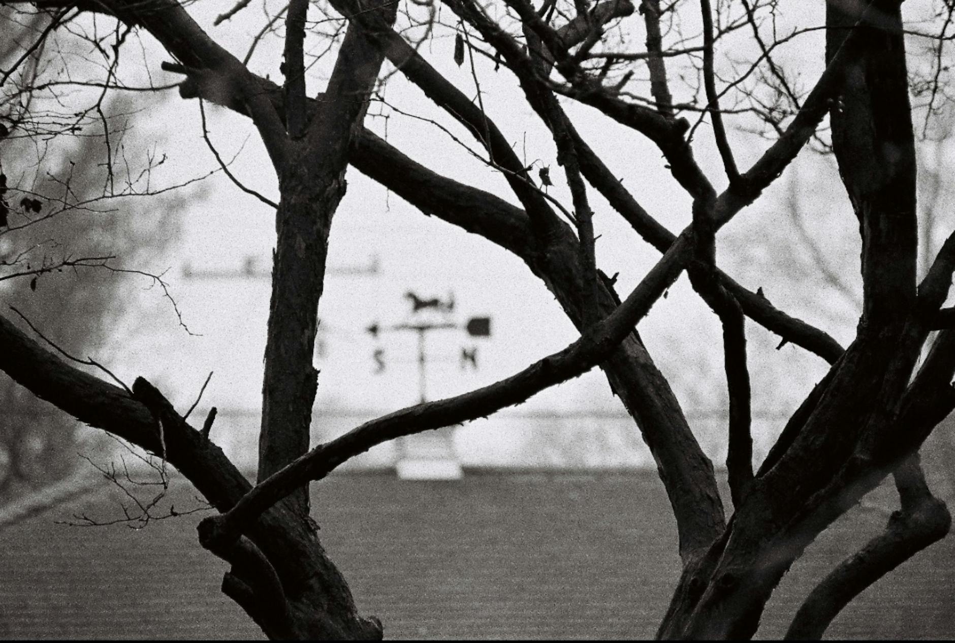 Bill Clinton und Hillary Clinton vor Befragung: Die schleppende Aufklärung im Fall Epstein – Podcast