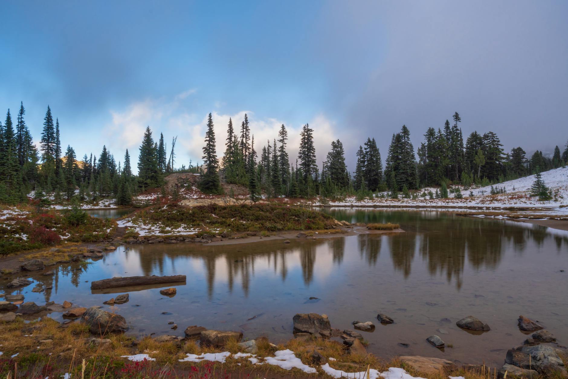 Präsident des Weltwirtschaftsforums tritt nach Epstein-Enthüllungen zurück